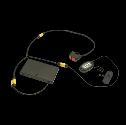 Battery Powered Rocklight (mount included) Pre order